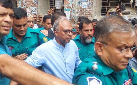 Journalist Mahmudur Rahman granted bail