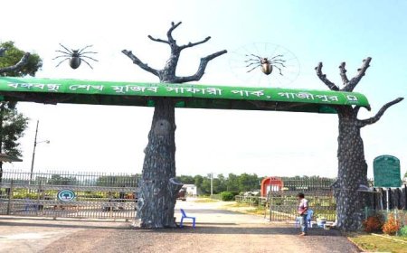 Bangabandhu Safari Park has been in a state of disrepair since its closure on August 5.
