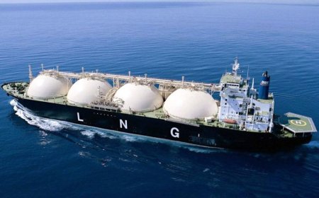 The government has terminated the LNG terminal agreement with Summit Group.
