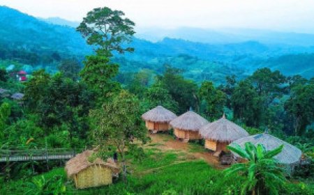 Travel ban severely impacts CHT tourism businesses