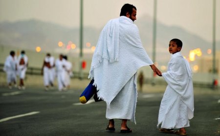 Adviser: 2,000 crore needed to charter ships for Hajj pilgrims