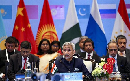 Indian FM's Visit to Pakistan Seen as Diplomatic Ice-Breaker