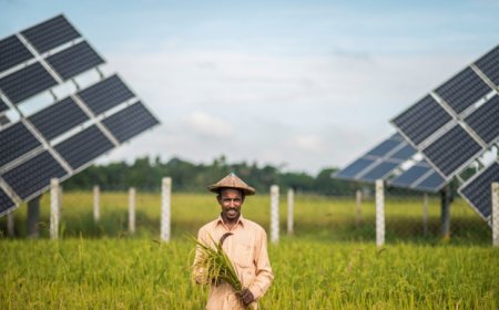 CPD: Tax Incentives and Import Duty Reductions Essential for Attracting Chinese Investment