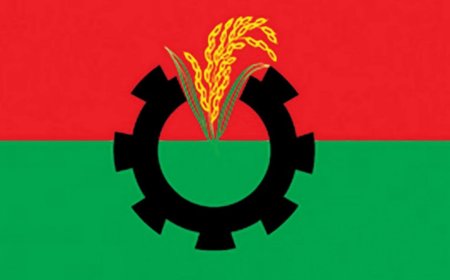 BNP expresses concern over unruly activists jeopardizing public confidence.