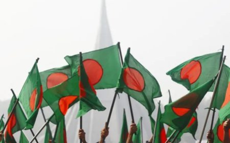 Government to prohibit AL from 'political participation'