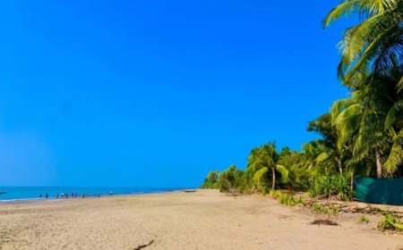 The government has decided to restrict the number of tourists visiting St. Martin's Island for a duration of four months