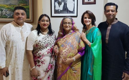 A committee has been established to investigate the allocation of plots to Sheikh Hasina and her family members