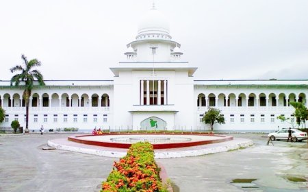 The High Court grants BNP intervenor status in the writ petition challenging the 15th amendment