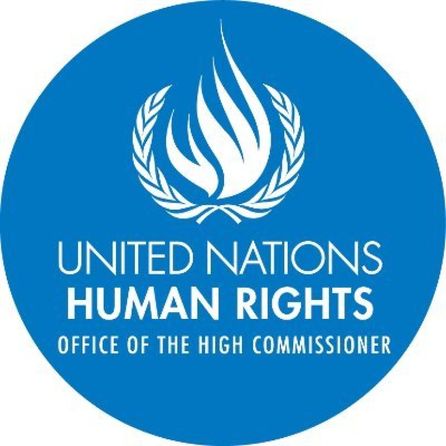 How could a UN Human Rights country office operate in Bangladesh?