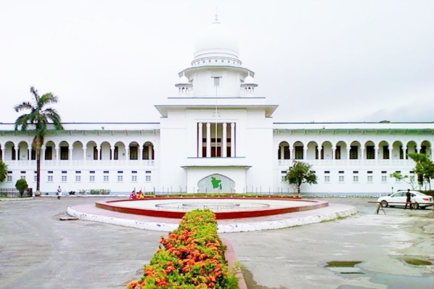 The High Court grants BNP intervenor status in the writ petition challenging the 15th amendment