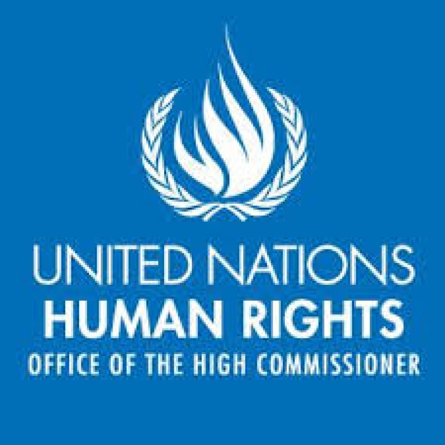 The United Nations High Commissioner for Human Rights will offer technical support to the Reform Commission if needed