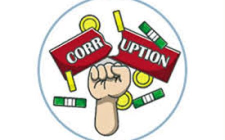 ERF-White Paper Committee: Corruption Levels Highest in Four Key Sectors