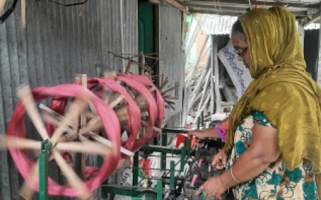 Bangladesh and India's Shared Geographical Indications: The Conflict and Future Prospects