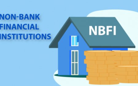 One-third of non-bank financial institutions (NBFIs) account for more than 73% of bad loans