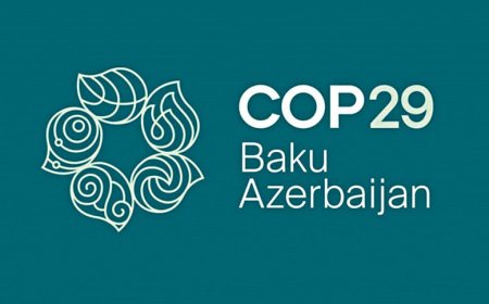 Coastal communities in Bangladesh: Millions endure hardships as the world gears up for COP29