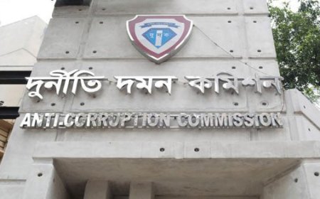 Government establishes committee to recommend candidates for ACC chairman and commissioners