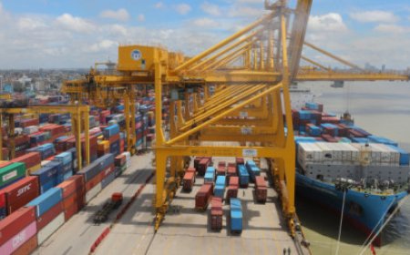 Exports in October increased by 20.60%