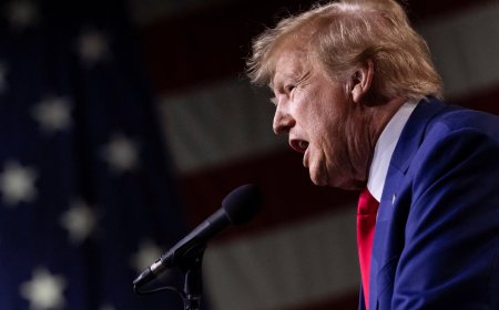 The recent arrests involved AL activists and are unrelated to Trump, according to the CA Press Wing