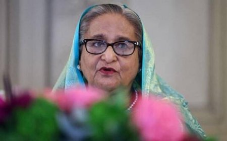 The Bangladesh government plans to request Interpol's assistance in facilitating the repatriation of Sheikh Hasina from India