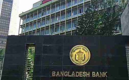 Delayed import payments damage Bangladesh's reputation: Bangladesh Bank