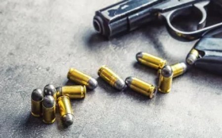 BGB detains Rohingya with drugs, firearm in Cox's Bazar