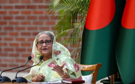 India requested that Hasina be refrained from making any statements: Spokesperson