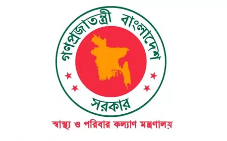 Delays in prioritizing implementation and disagreements over appointments