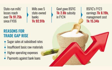 BSFIC's Trade Deficit Soars to Tk 80 Billion