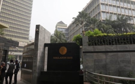 Central Bank’s Leniency Held Responsible for Struggling Banking Sector