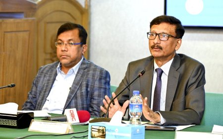 SANEM states that $45.2 billion is needed for the transition to green energy