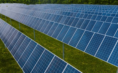 Adviser Fouzul suggests that unused government land can be harnessed to generate 10MW of solar power