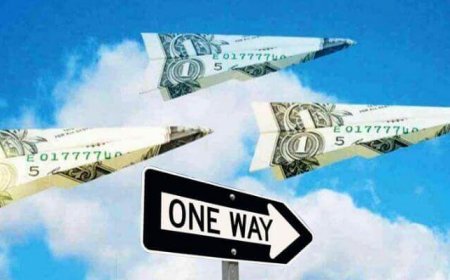 During the AL years, $14 billion per year was lost to capital flight