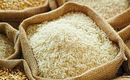 1,030 tons of rice imported from India