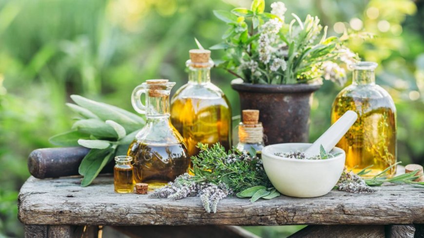 Pure and Profitable: Halal and Herbal Cosmetics Set Sights on Global Market Share