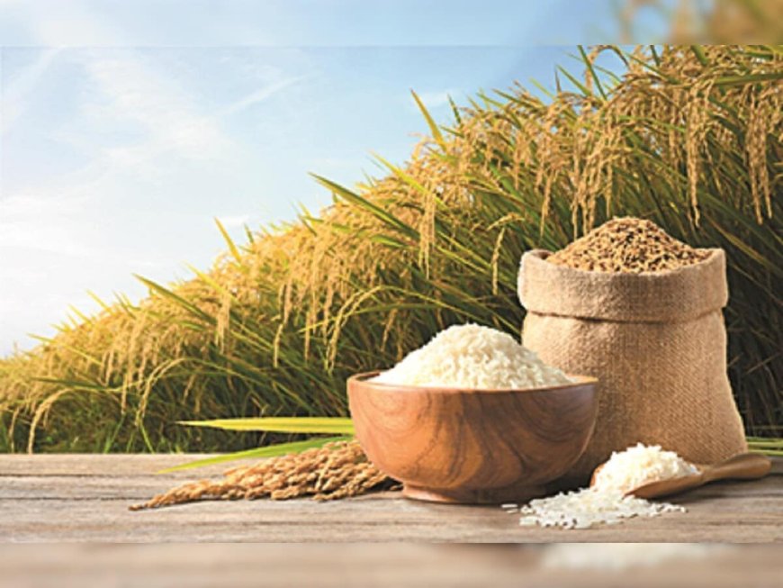 India aims for a record rice production in the 2024-25 monsoon season