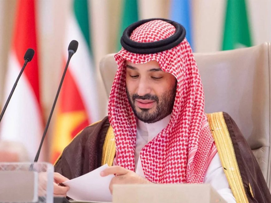 Saudi Crown Prince accuses Israel of committing 'genocide' in Gaza