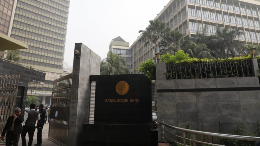 Central Bank’s Leniency Held Responsible for Struggling Banking Sector