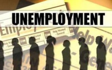 Labour Market: A Potential Crisis in the Making