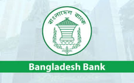 FDI data exaggerated by $5.7 billion over four years