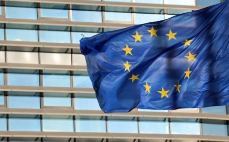 Dr. Yunus to meet with 28 EU ambassadors on Monday