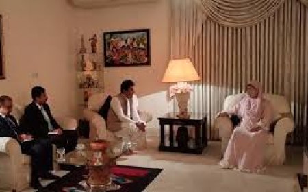 Pakistani ambassador meets with Khaleda Zia