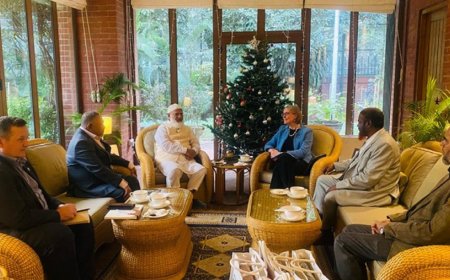 Jamaat Leaders Hold Meeting with British High Commissioner
