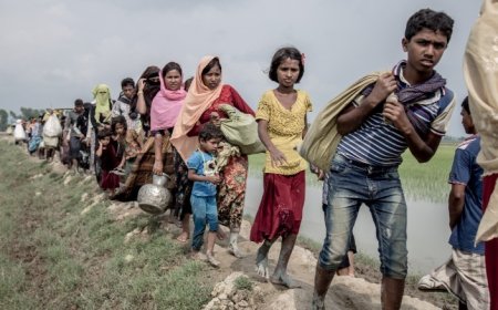 Arakan Army Controls Rakhine: Government Considers New Rohingya Policy