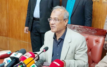 Home adviser: Committee to investigate BDR carnage to be formed within 5 working days