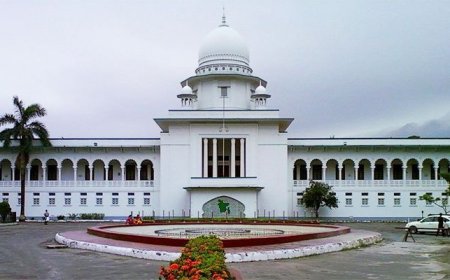 High Court rules 15th Amendment unconstitutional