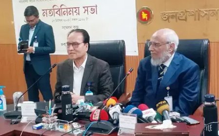 Panel proposes separating education and health sectors from cadre services