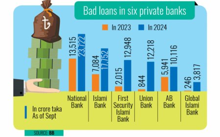 Six private banks witness nearly a threefold surge in bad loans within a year