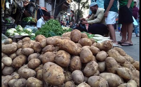 1,900 MT of Indian potatoes imported to stabilize market prices