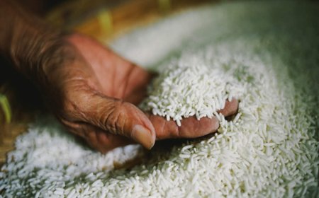 The government plans to purchase 50,000 tonnes of rice from India