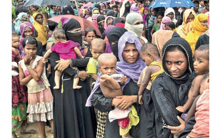 Foreign Adviser says preventing Rohingya infiltration is challenging due to corruption at the border